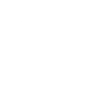 Bastion